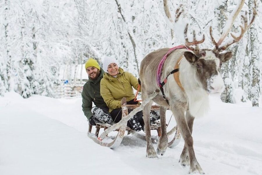 Levi: Lapland Reindeer Safari - Should you book the Levi Lapland Reindeer Safari?