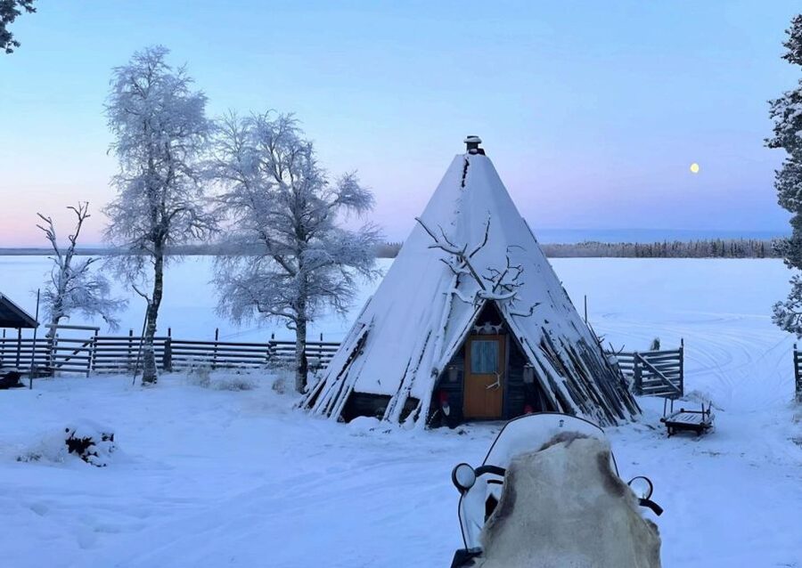 Levi: Lapland Reindeer Safari - The farm stop: feeding reindeer lichen and learning local life