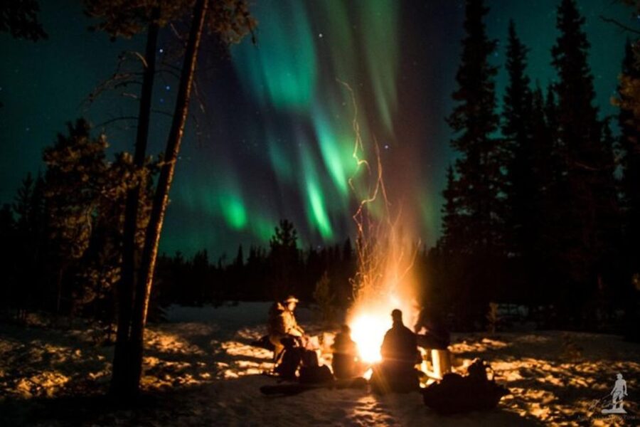 Levi: Northern Lights Hunt Including Campfire Snacks - Price and Value: Is 153 USD a Fair Deal?