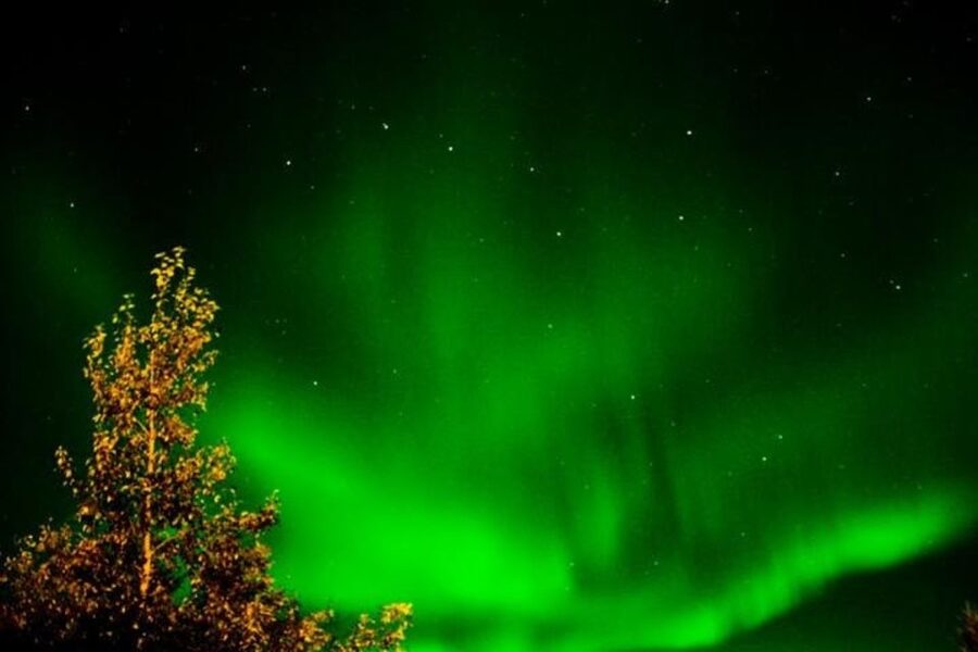 Levi: Northern Lights Hunt Including Campfire Snacks - Should You Book It? My Practical Decision Guide