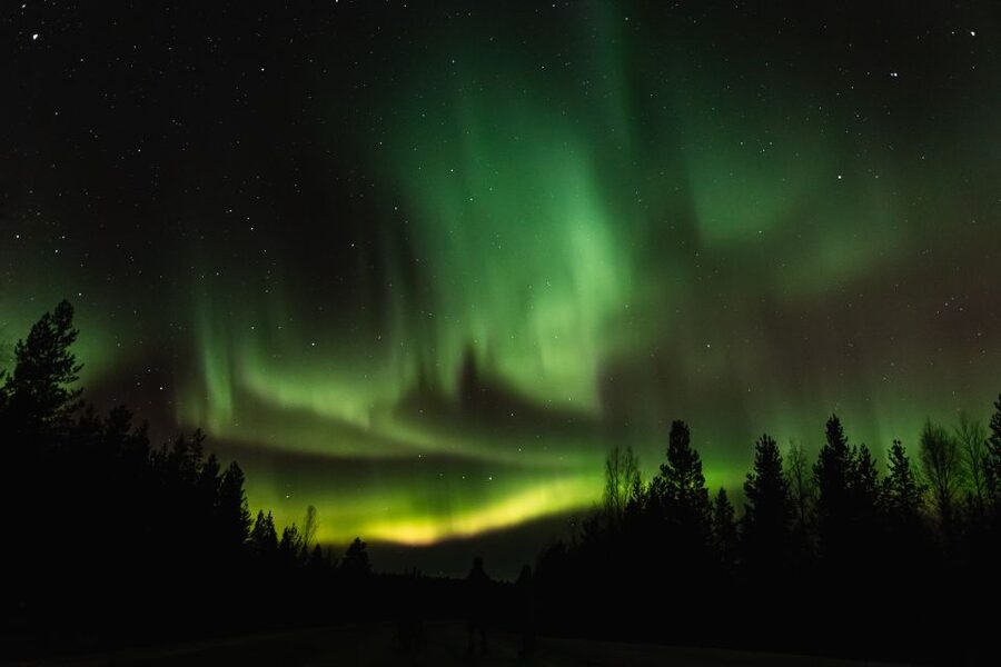 Levi: Northern Lights Hunting Photo Tour - Meeting at Safartica Levi: Timing, Pickup, and How Not to Miss It