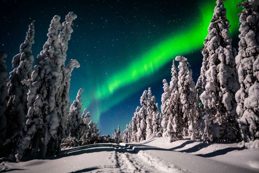 Levi: Northern Lights Hunting - Photography Tour - Gear, comfort, and the included extras that matter