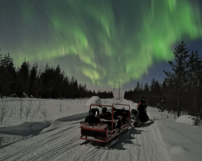 Levi: Northern Lights Sledge Ride - Northern Lights in Levi, the part that actually matters