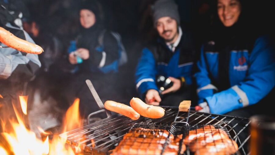 Levi: Northern Lights Snowmobile Tour with Snacks and Drinks - Key Things You’ll Notice on This Levi Night Ride
