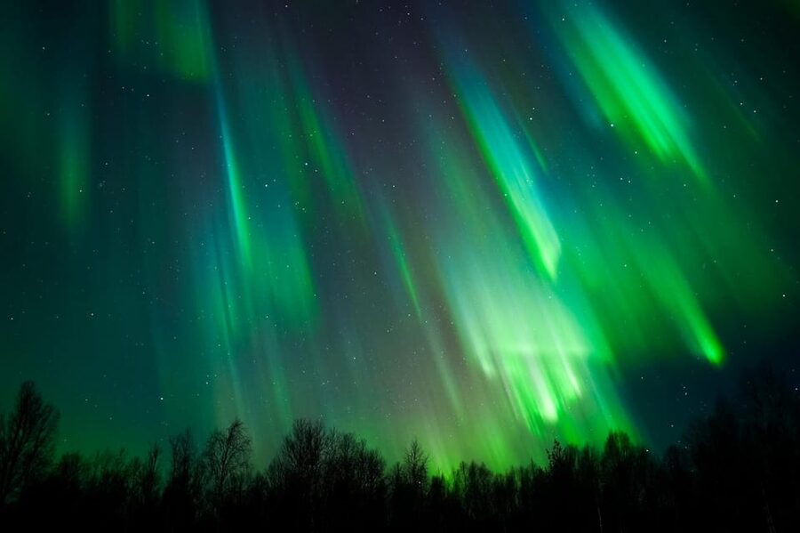 Levi: Northern Lights Tour with Guaranteed Sightings - Arctic Aurora Hunters Key Takeaways