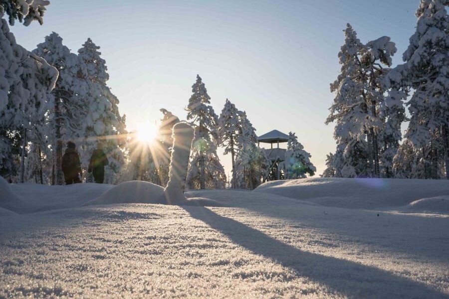 Levi: Pallas National Park Adventure with Pro Photos & BBQ - Levi to Pallas-Ylläs: why this hike feels like real Arctic time