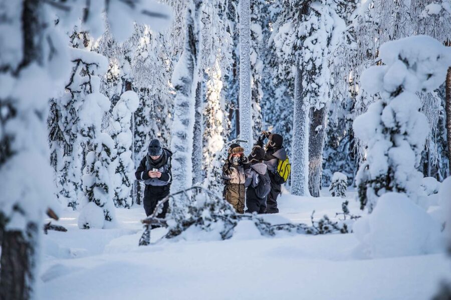 Levi: Pallas National Park Adventure with Pro Photos & BBQ - The 2.5-hour secret photo stop and camp break