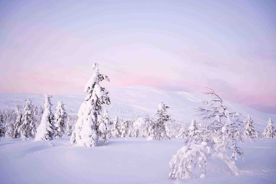 Levi: Pallas National Park Adventure with Pro Photos & BBQ - Walking the fell area: boots, snowshoes, and pro guidance