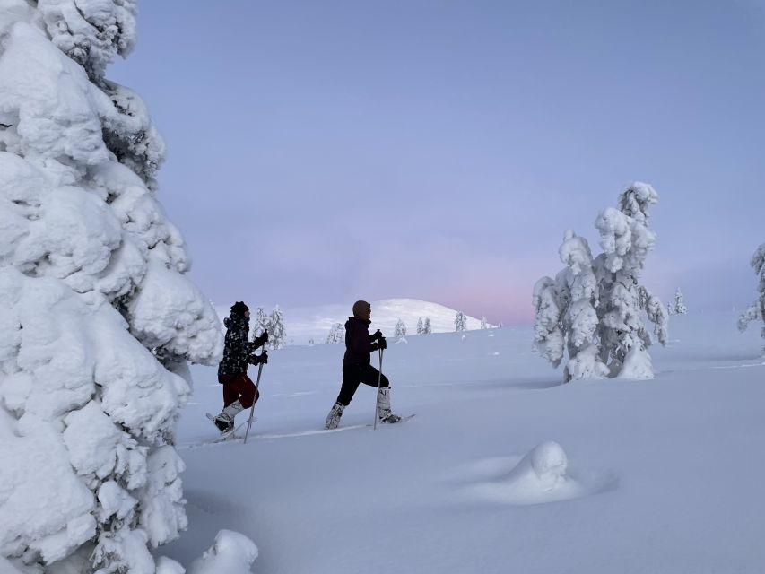 Levi: Pallas-Yllästunturi National Park Snowshoeing Tour - Snowshoeing through Lapland’s quiet: what the tour really feels like