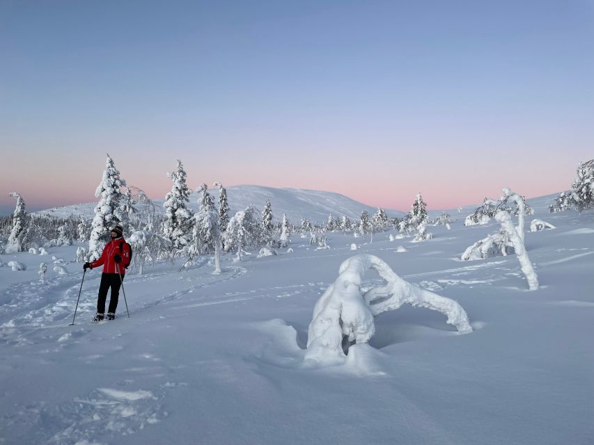 Levi: Pallas-Yllästunturi National Park Snowshoeing Tour - Stop 2: the second snowshoe stretch through snowy forest (about 1 hour)