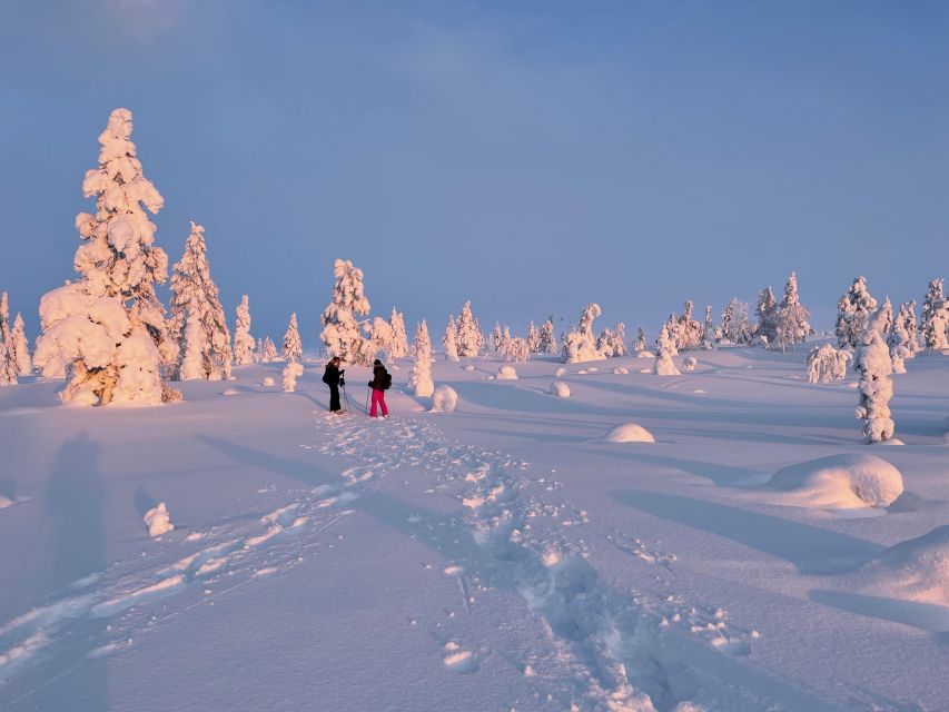 Levi: Pallas-Yllästunturi National Park Snowshoeing Tour - Guide and group vibe: English, Finnish, and pace control
