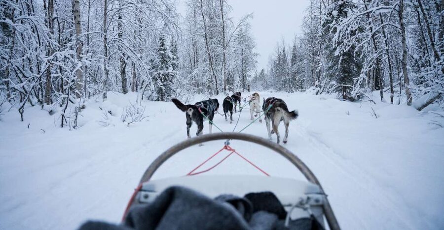 Levi Polar Lights Tours: Arctic Circle Guided Husky Tour - Levi’s Meeting Point, Bus Ride, and the On-the-Ground Setup