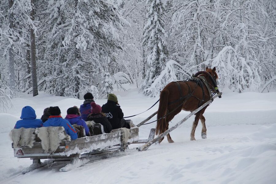 Levi, Polar Lights Tours: One Horse Open Sleigh Ride - Key highlights at a glance
