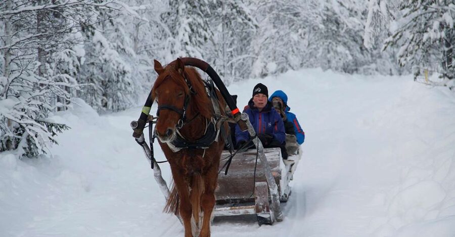 Levi, Polar Lights Tours: One Horse Open Sleigh Ride - Why this one-horse sleigh ride in Levi feels like the real deal