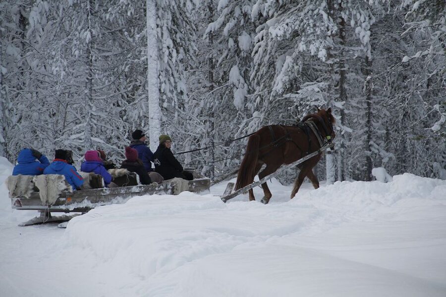 Levi, Polar Lights Tours: One Horse Open Sleigh Ride - Who this tour is best for, and who might want something else