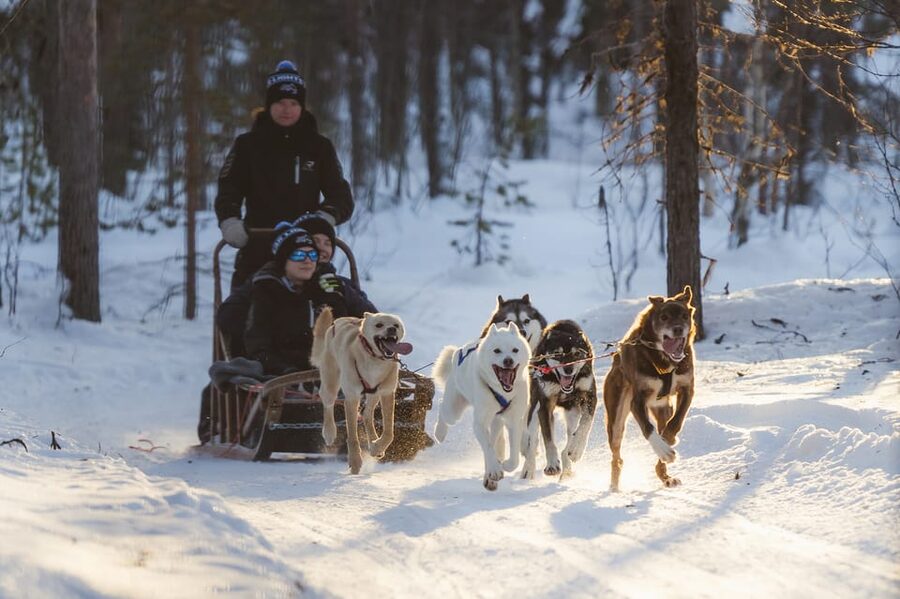 Levi Polar Lights Tours: Path of the Gnome Husky Safari 15km - Getting from Levi Center to the husky farm (and why that matters)