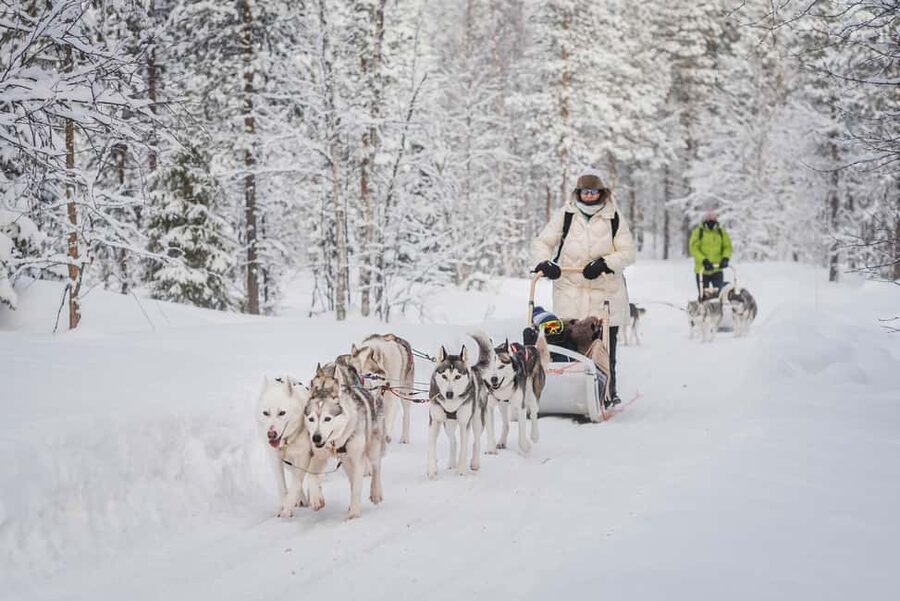 Levi Polar Lights Tours: Path of the Gnome Husky Safari 15km - Self-drive huskies for 15 to 18 km: what the ride feels like