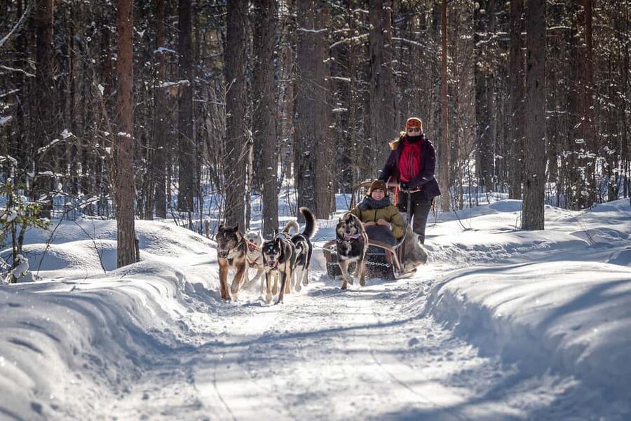 Levi Polar Lights Tours: Reindeer and Husky Taster - From Levi Center to Polar Lights Tours Oy: getting there and getting ready