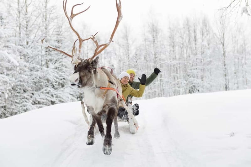 Levi: Reindeer Experience with Sled Ride - Before you go: quick planning tips that improve everything