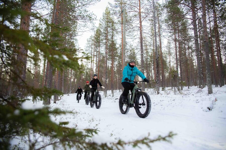 Levi: Reindeer Farm E-Fatbike Safari - Reindeer farm time: feeding them and learning why they matter