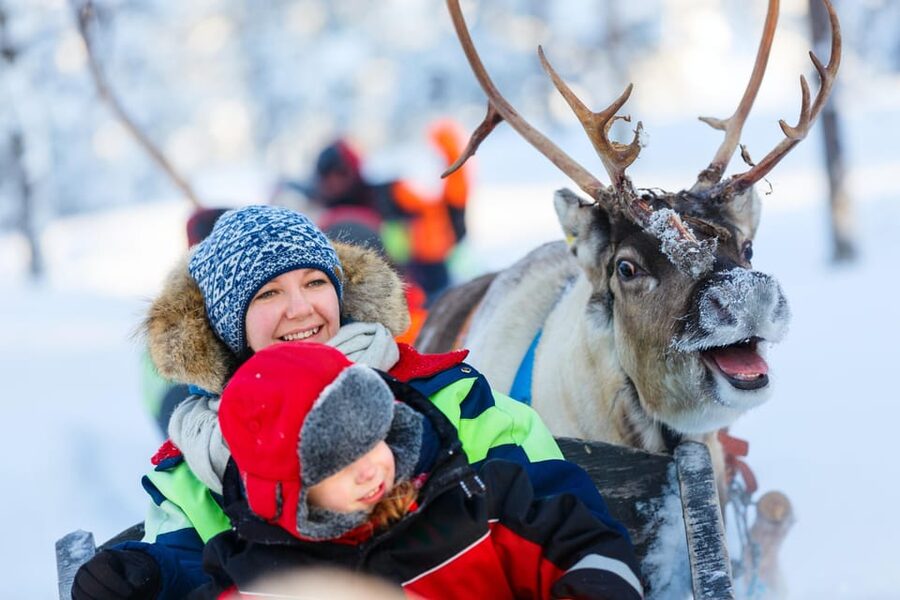 Levi: Reindeer Sleigh Ride Tour in Snowy Forest - Should you book Polar Lights Tours in Levi?