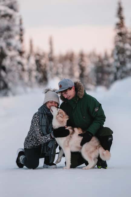 Levi: Self-Drive 2 KM Husky Sledding Experience - Key Things To Know Before You Go