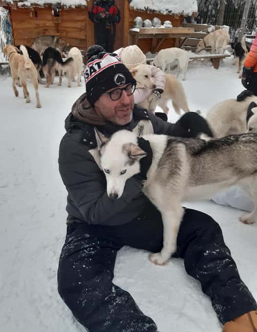 Levi: Self-Drive 2 KM Husky Sledding Experience - Self-Drive 2 km Husky Sledding Near Levi, What Makes It Work