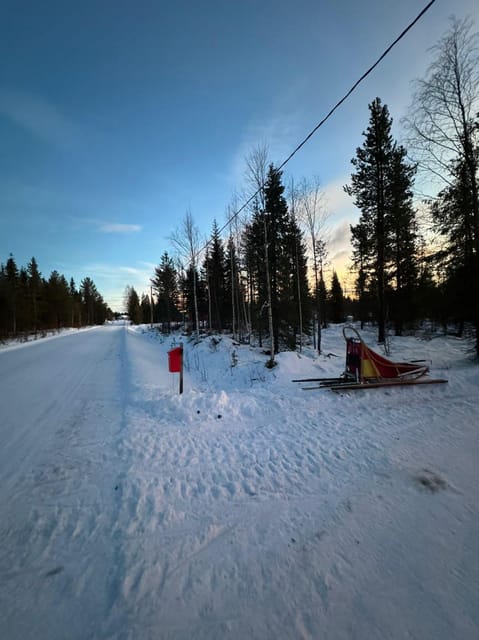 Levi: Self-Drive 2 KM Husky Sledding Experience - Price and Value: Is $135 Worth It?