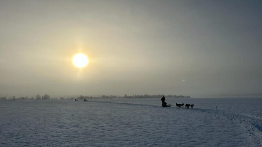 Levi: Self-Drive 5 KM Husky Sledding Experience - The 75-minute guided flow: kennel, instructions, and then the ride