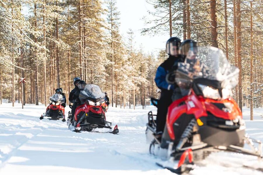 Levi: Snowmobile Safari to the Levi Nature - Key highlights worth getting excited about