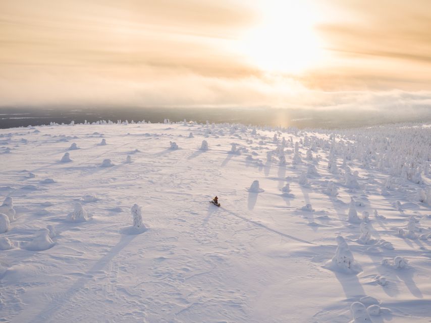 Levi: Snowmobiling Adventure - Key things to know before you go