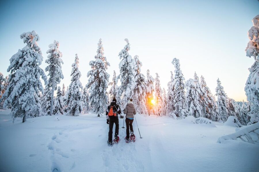 Levi: Snowshoe Adventure in the Wilderness - Who This Tour Fits (and Who Should Skip It)