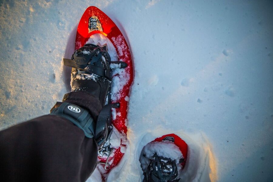 Levi: Snowshoe Adventure in the Wilderness - Entering the Arctic on Snowshoes (Not a Gentle Walk)