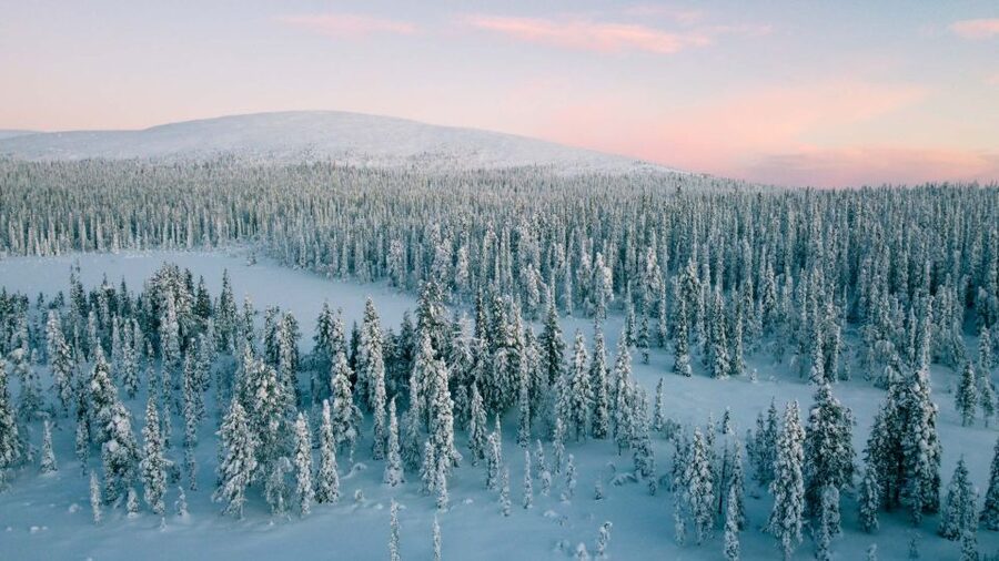 Levi: Snowshoe Adventure in the Wilderness - The Pace: Breaks, Breathing, and Winter Energy Management