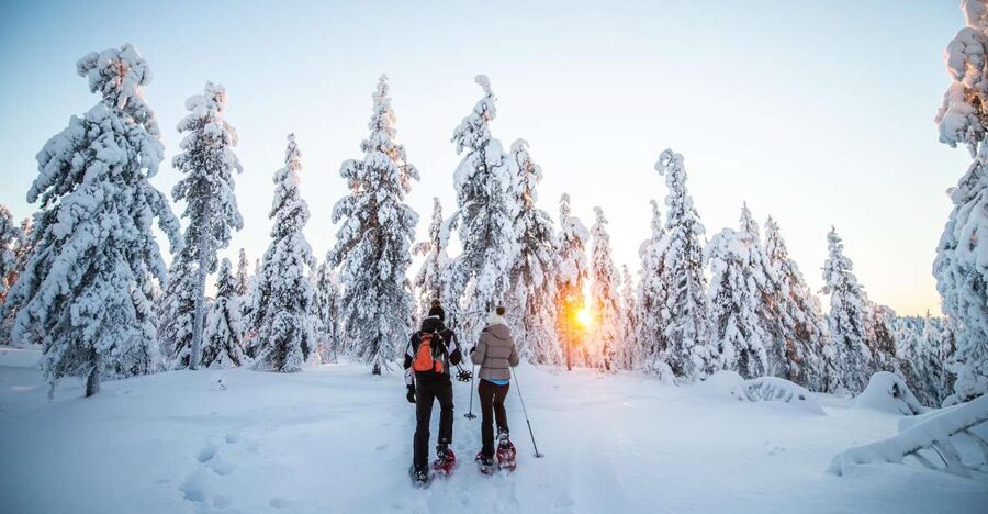 Levi: Snowshoe Adventure in the Wilderness - Price and Value for $105 in 3.5 Hours