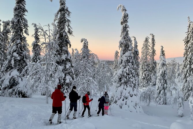 Levi: Snowshoeing adventure in the National Park - Key highlights at a glance