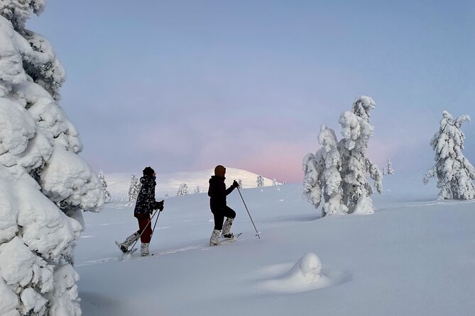 Levi: Snowshoeing adventure in the National Park - What guides handle for you, and what you still control