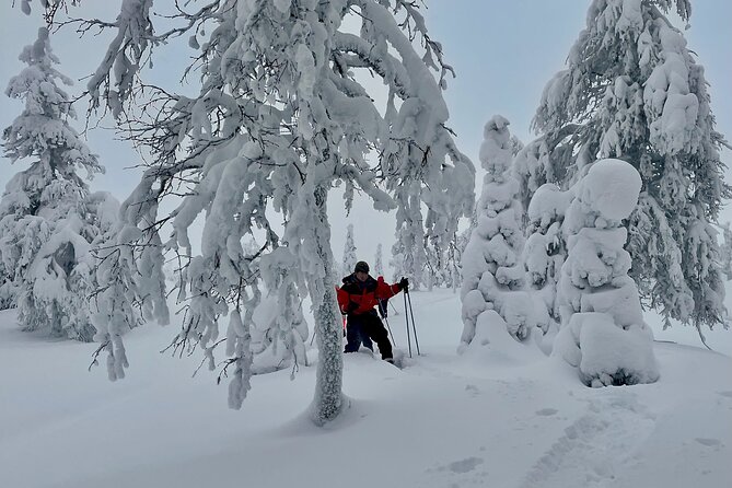 Levi: Snowshoeing adventure in the National Park - Duration and pacing: how the 5.5 hours adds up
