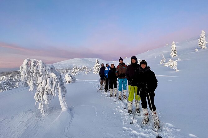 Levi: Snowshoeing adventure in the National Park - Price and value: where your $191.56 goes in winter Lapland