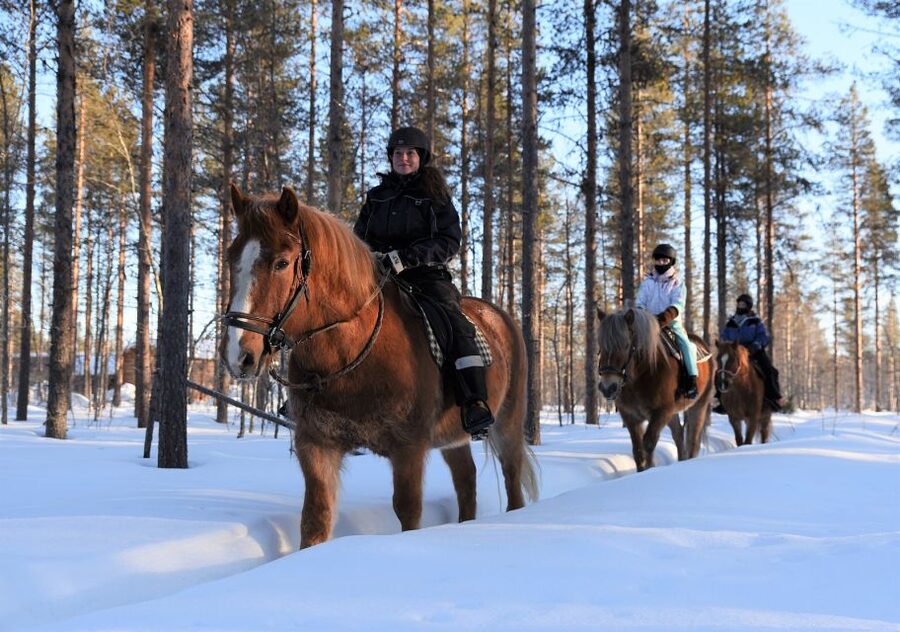 Levi: Snowy Forest Ride and Polar Lights Tours - Lapland Horse Riding That Actually Feels Like Lapland