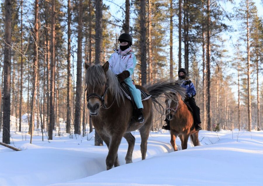 Levi: Snowy Forest Ride and Polar Lights Tours - The 10-Minute Safety Brief That Makes Beginners Comfortable