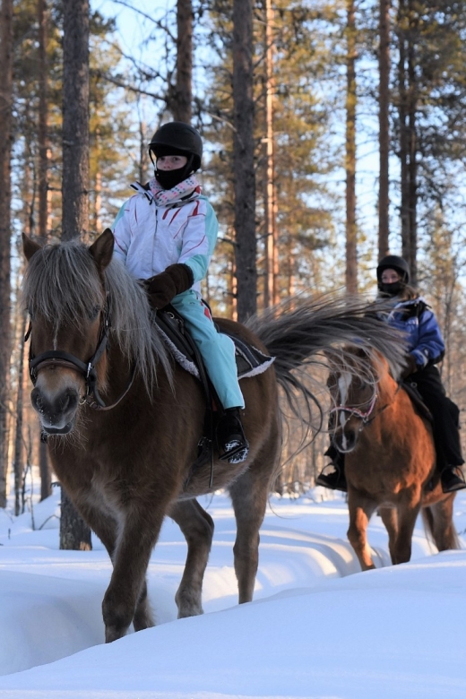 Levi: Snowy Forest Ride and Polar Lights Tours - Warming Up With Hot Juice and Local Snacks