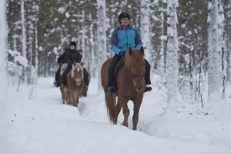 Levi: Snowy Forest Ride and Polar Lights Tours - From Levi Center to the Stable Area: Simple, Included, and Quick