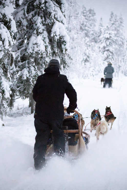 Levi: Winter Highlights Family Day - Mini Snowmobiles for Kids Ages 4 to 12, What Actually Happens