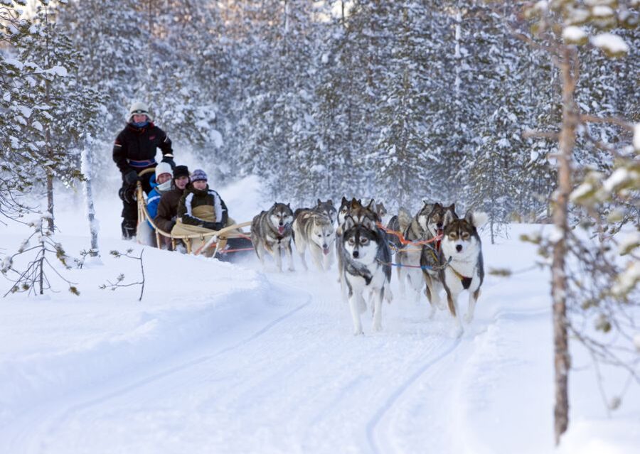 Levi: Winter Highlights Tour with Snowmobiling - The Pickup Ride, Then the Start of the Real Winter Fun