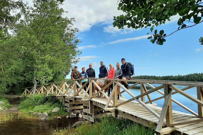 Magical Taiga Forest Hike with Lunch and Transportation - Transfer Comfort and Rain Prep: What Changes When Weather Turns
