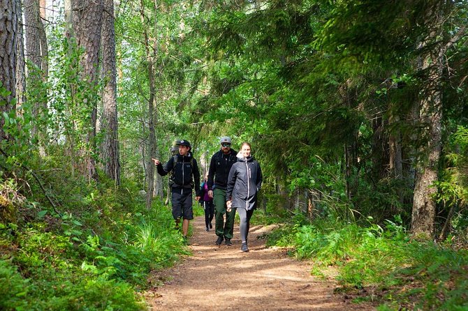 Magical Taiga Forest Hike with Lunch and Transportation - Price and Value: What You Pay For, and Why It Adds Up