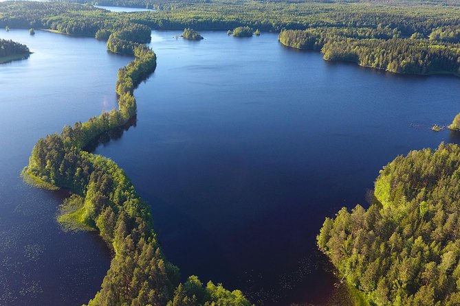 Magical Taiga Forest Hike with Lunch and Transportation - Sustainability That Actually Shows Up in the Day