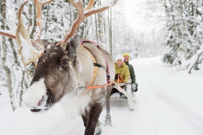 Meet Santa Claus & Santa's Reindeer Ride & Greet Huskies - What to do before you go: winter comfort that actually matters