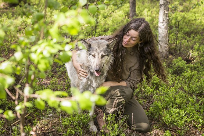 Meet Taivas & the Arctic Wolves - Private Tour - Key things you should know before you go